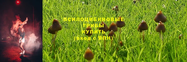 твердый Алексеевка