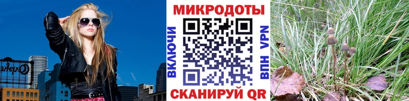 Галлюциногенные грибы Psilocybe  blacksprut онион  дарк нет наркотические препараты  Сельцо 